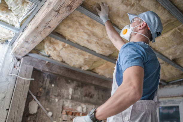 Best Insulation Installation Services in Clyde, OH